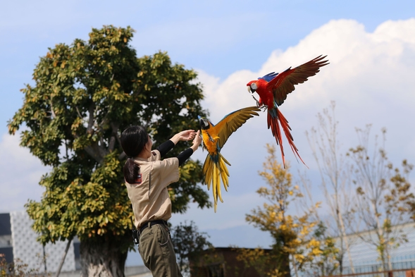 【神戸どうぶつ王国】〜花と動物と人とふれあい共生パーク〜入場券付きプラン！☆素泊まり